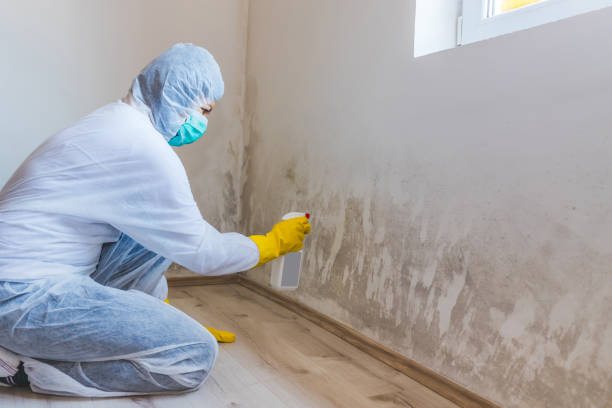 Bathroom Mold Removal assessment in Brunswick bathroom